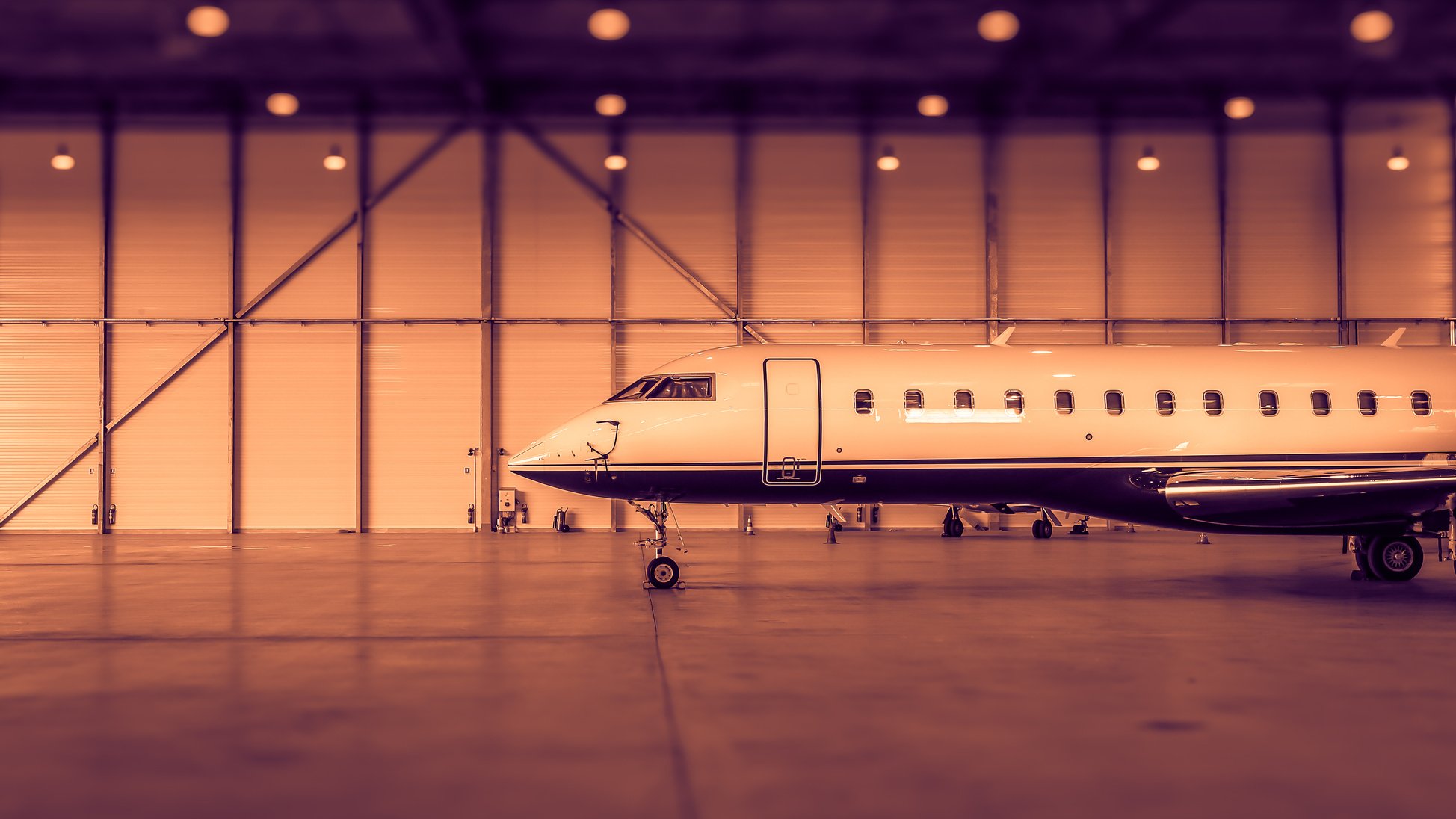 Private Jet inside a hangar